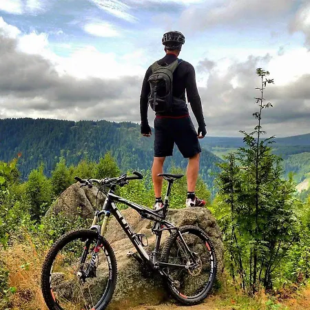 Brinkmann Lägenhet Braunlage