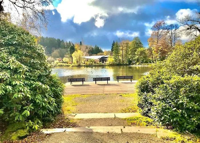 公寓 Brinkmann 布劳恩拉格